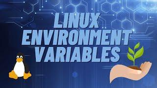 How to share environment variables in Linux across Bash, Python, .NET and more.