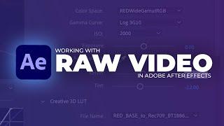 Access RAW Settings in Adobe After Effects (.R3D RAW)