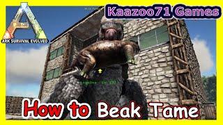 Ark How to Beak Tame Small Dinos 