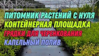 Питомник растений с нуля. Контейнерная площадка. Грядки для черенкования. Капельный полив.