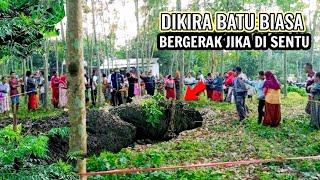 geger" pengakuan warga melihat buaya bertapa bergerak jika disentuh