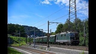 Bahnverkehr in Brunegg am 27.07.24 - "ICE 4, Tonerdezug, Re465, Nightjet, OeBB NPZ, Verbano Express"