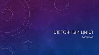 Клеточный цикл (митоз, рак)