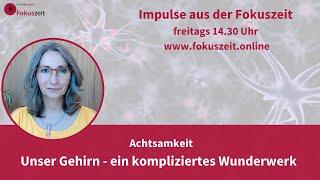 Christa Beckers - Fokuszeit Impulse zur Achtsamkeit: Fakten zu unserem Gehirn