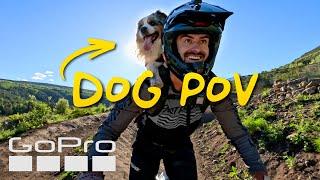 GoPro Mountain Games | A Dog's Perspective