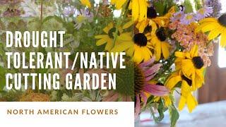 Drought tolerant North American native cutting flower garden! (And how to start them from seed!)