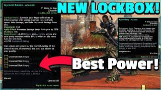 Neverwinter Mod 24 - BEST New MOUNT 19% DAMAGE! NEW Myconid LOCKBOX & NEW Companion!