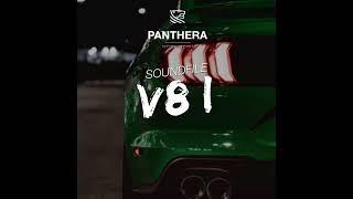 PANTHERA LEO 6.0 ACTIVE SOUND -  All 10 Soundfiles - ENJOY AND HAVE FUN