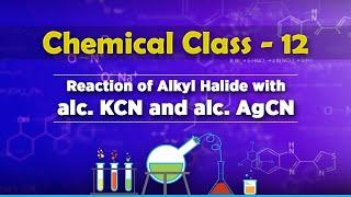 Reaction of Alkyl Halide with alc. KCN and alc. AgCN - Chemistry Class 12