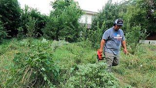 I Screwed Up On This Massive Backyard Cleanup - They Hired Someone Else To Finish