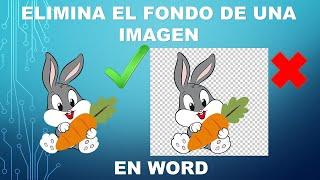 como eliminar el fondo de una imagen en Word