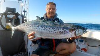 Mid North Coast Fishing