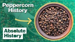 Where Pepper & Cinnamon Came From | The Spice Trail | Absolute History