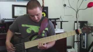 La Bella White Nylon Bass Strings Demo