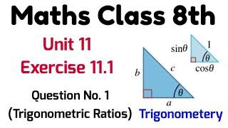 Unit 11 Exercise 11.1 Question no. 1 Class 8th Math PTB II Trigonometric Ratios II Masood Mubashir.