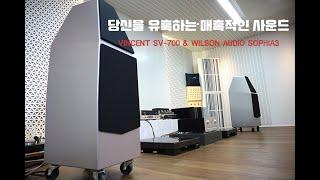 VINCENT SV-700&WILSON AUDIO SOPHIA3 당신을 유혹하는 매혹적인 사운드