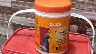 Colombine Vita || Versele Laga || Mineral Supplement || Rai Pigeon Supplies