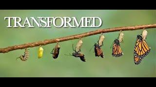 "Transformed" - Bishop Jonathan Shaw