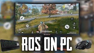 Rules of Survival on PC! First look and impression/Gameplay!