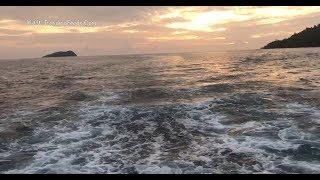 Sunset Dinner Cruise | North Borneo Cruises | Malaysia