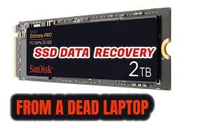 How To Recover SSD HDD Data From A Dead Laptop | Don't Waste Money on Data Recovery