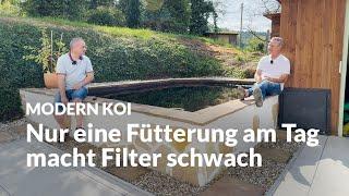 Eine Wasseranalyse an Michaels Teich | Modern Koi Blog #7231