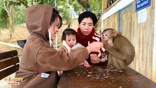 Mom cried when she met Monkey Kaka again after many days apart