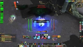 4.3 Frost DK PvP 2H vs DW