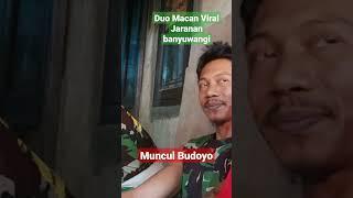 DUO MACAN VIRAL MUNCUL BUDOYO BERAN LOR#shorts #munculbudoyoofficial #keseniandaerahbanyuwangi