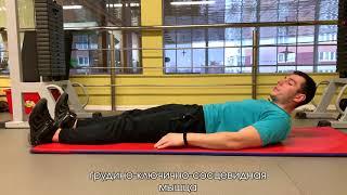 Упражнение для укрепления мышц шеи | Хелз Лайф— Медицинский центр в Калининграде