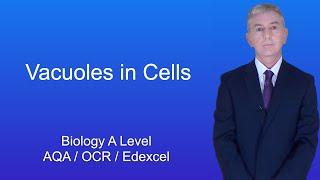 A Level Biology Revision "Vacuoles in Cells"