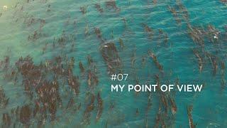 My Point of View #07 - David Montalba