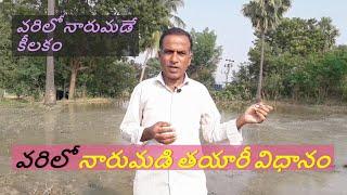 వరిలో నారుమడే కీలకం |vari naarumadi yajamaanyam |వరి నారుమడి తయారీ విధానం | Karshaka nestham