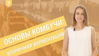 Основы комбучи: вторичная ферментация