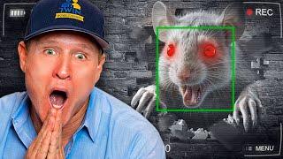 This Rat Messed with the WRONG Exterminators!