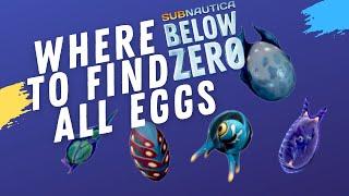 Get yourself  ALL OF THE EGGS  in Subnautica Below Zero! - Subnautica Below Zero Guide