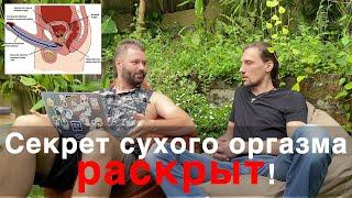 Секрет сухого оргазма раскрыт! Как работает разделение оргазма и эякуляции физиологически?