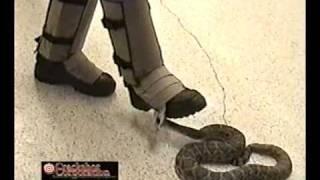 Snake Guardz - crackshot