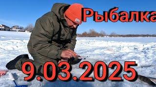 Рыбалка на поплавок 9 марта 2025 г.на плавучих банях!На этих лунках стоит вся рыба! Весенняя рыбалка