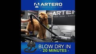 ARTERO Black 2M Dryer/Blower