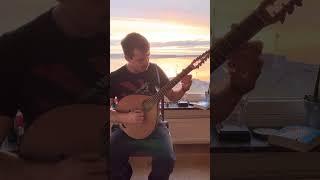 Swedish Polska on a small cittern by Søren Vinther Røgen