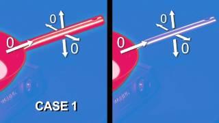 Equilibrium vs. Steady State