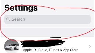 How to fix settings search bar not working on IPhone or IPad.
