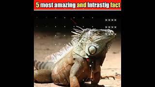 mindblowing fact in 1 minute  #fact #amazingfacts  #uniquefact