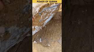 Power of Allah  | Miracle of Quran#allah #islam