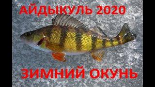 зимняя рыбалка окунь на айдыкуле 2020-2021