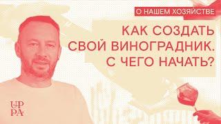 Как создать свой виноградник. С чего начать?