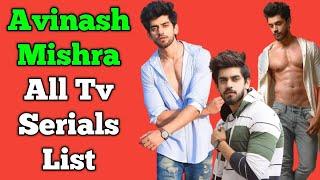 Avinash Mishra All Tv Serials List || Indian Television Actor || Nath Jewar Ya Zanjeer