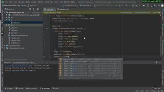 【FLUTTER ANDROID STUDIO and IOS】Basic Redux