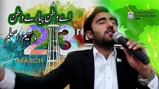 Ay Watan Piyare Watan by Wasim Aslam